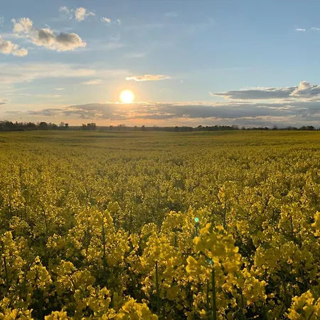 Sonnenhof * Hardenbeck